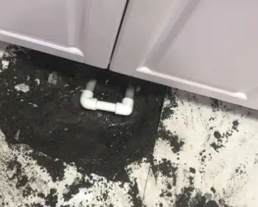 濉溪查漏水哪家好